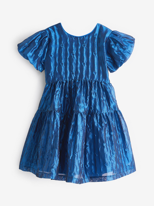 Ted Baker Blue Clock Dress
