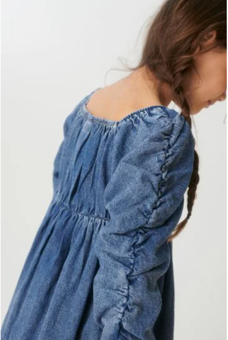 Next Rushed Sleeve Denim Dress