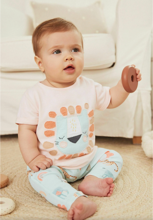 Next Baby T-Shirt & Leggings Set