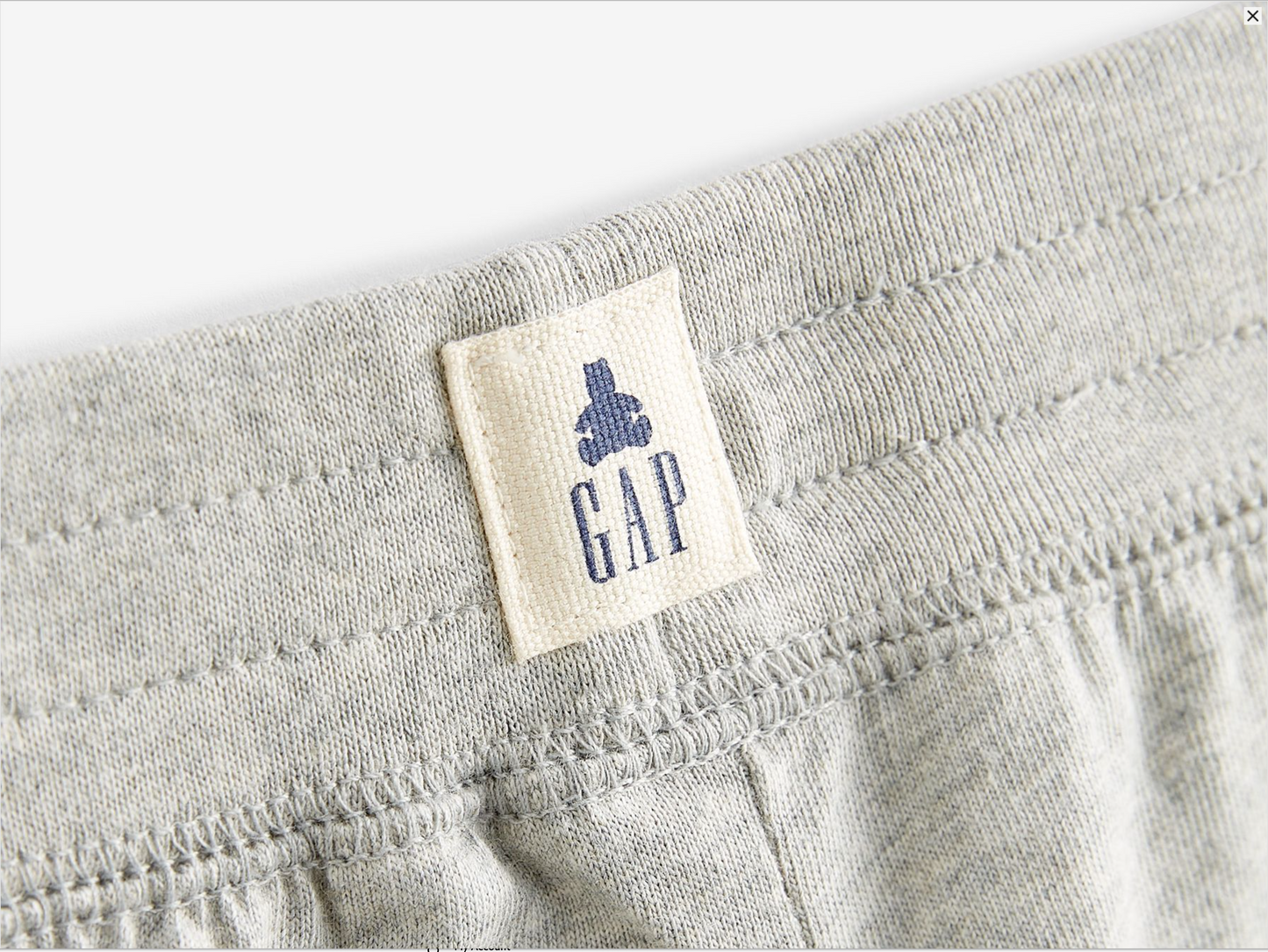 Gap Brannan Shorts