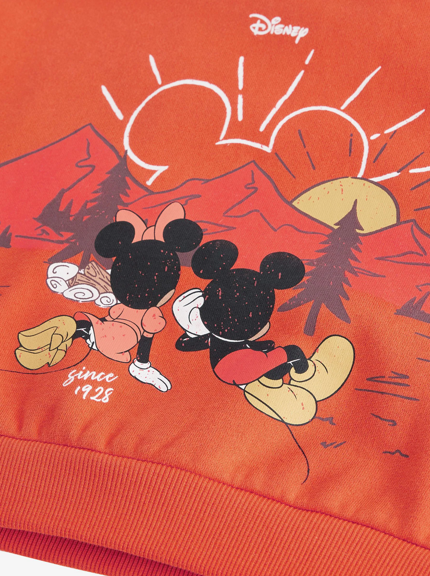 Next*Disney Sweatshirt & Wide Leg Jogging Set