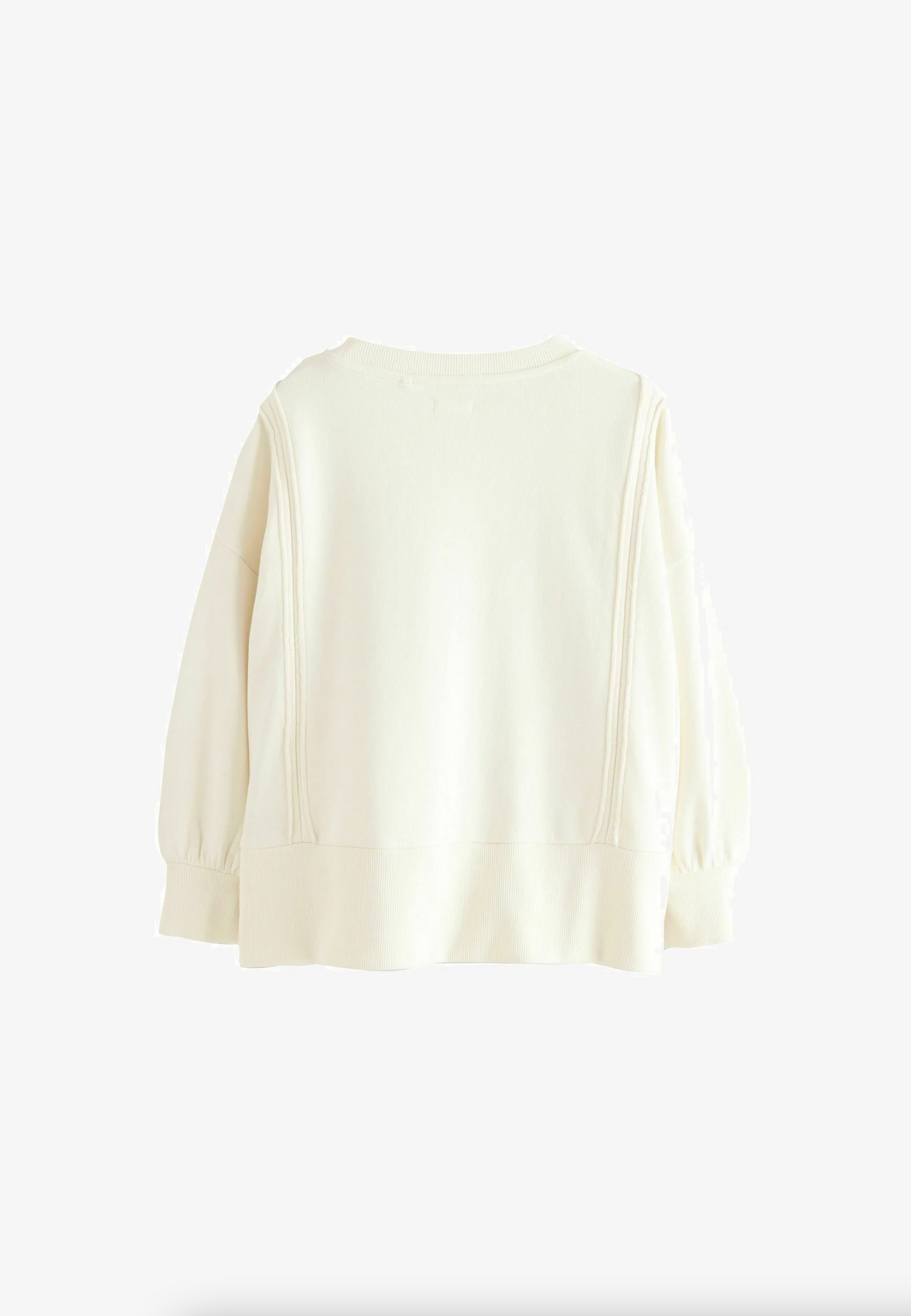 Next Floral Embroidered Oversized Sweatshirt