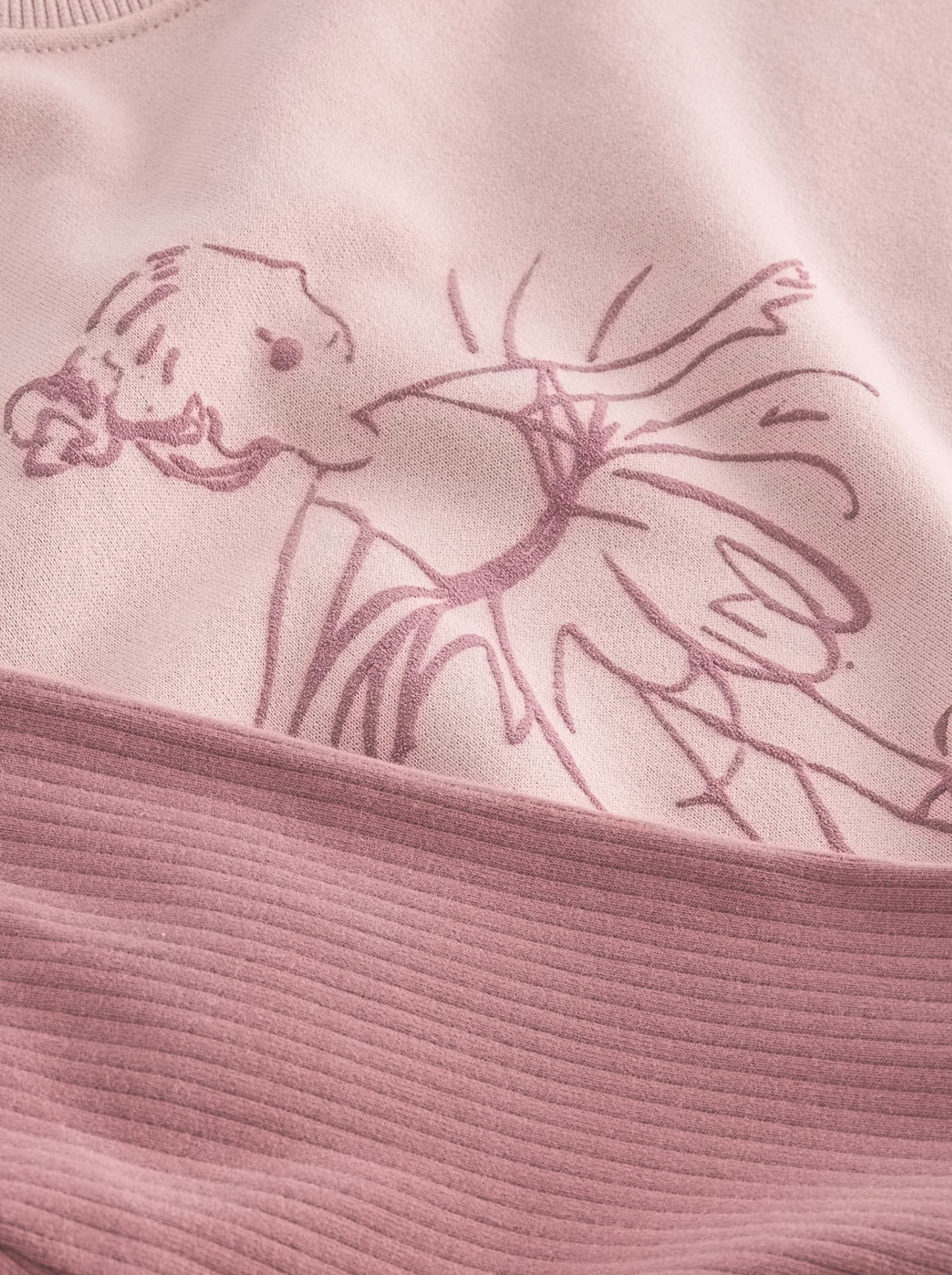 Next Fairy Frill Sweatshirt & Legging Set